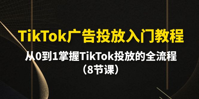 （10085期）TikTok广告投放入门教程，从0到1掌握TikTok投放的全流程（8节课）-大设天下